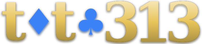 toto313 logo